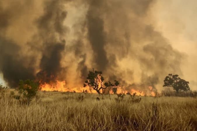 Bombeiros seguem combatendo incêndio no Parque Estadual do Juquery em São Paulo