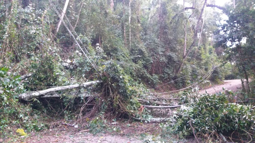 Defesa Civil de Ilhabela monitora áreas de risco após acumulado de 48,2 milímetros de chuva