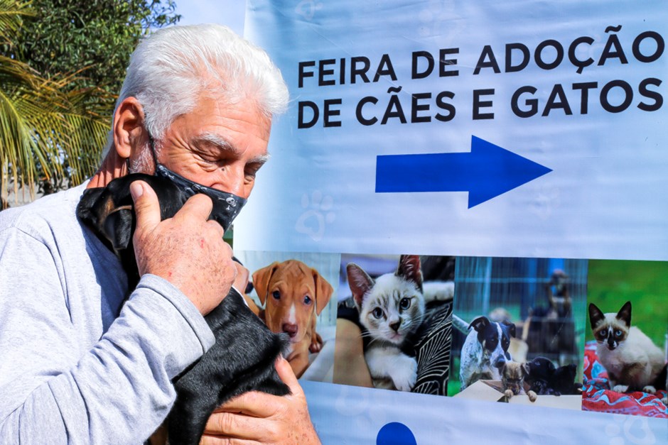 Feira de Adoção do CZZ acontece neste sábado com 80 animais
