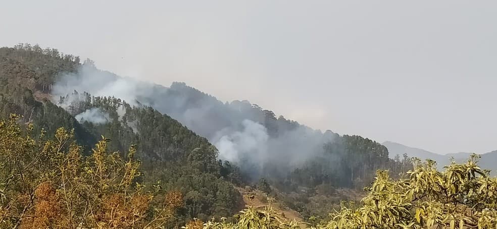 Chamas se alastram e incêndio na Serra da Mantiqueira chega a Santo Antônio do Pinhal