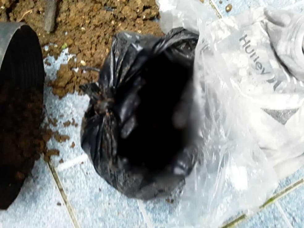 Bebê recém-nascida é encontrada enterrada em vaso em Ubatuba