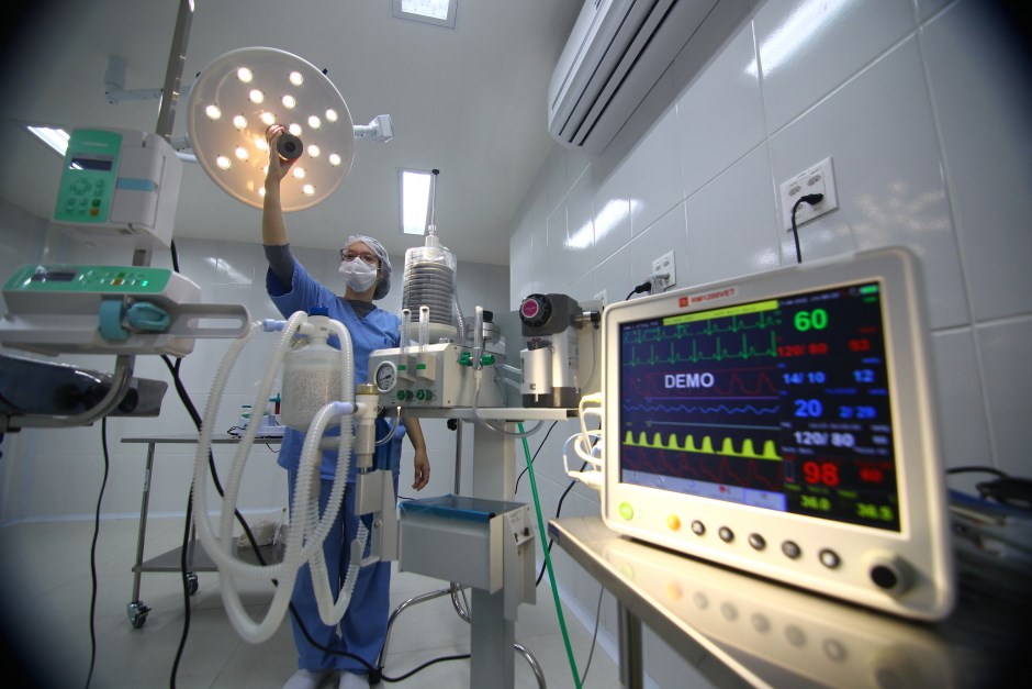 Em uma semana, Hospital Veterinário de São José dos Campos atendeu 40 animais