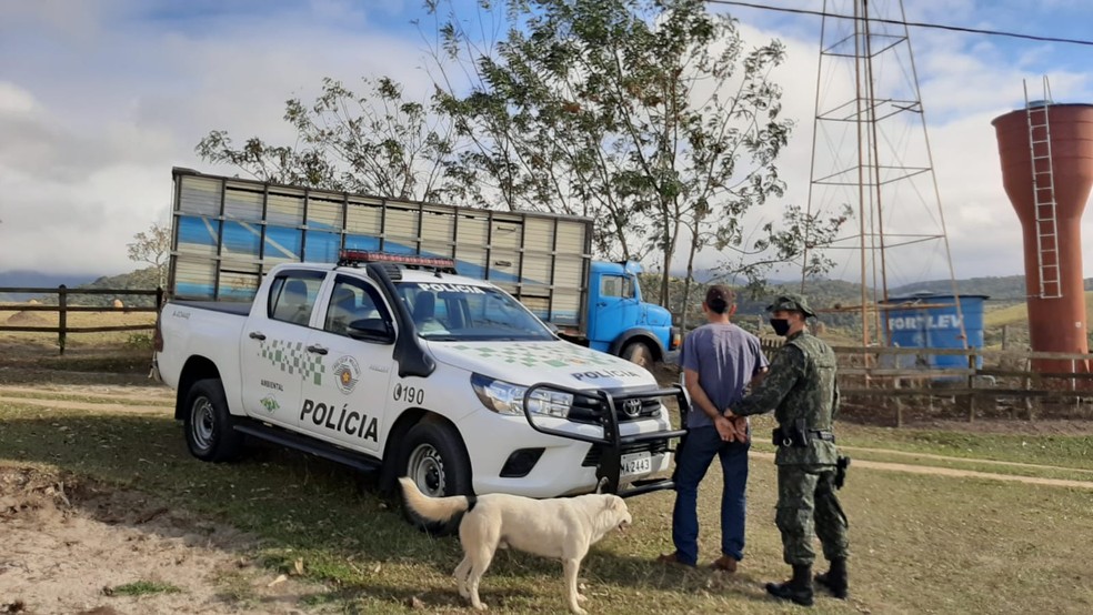 Dupla suspeita de roubo de gado é presa em Taubaté e Caçapava