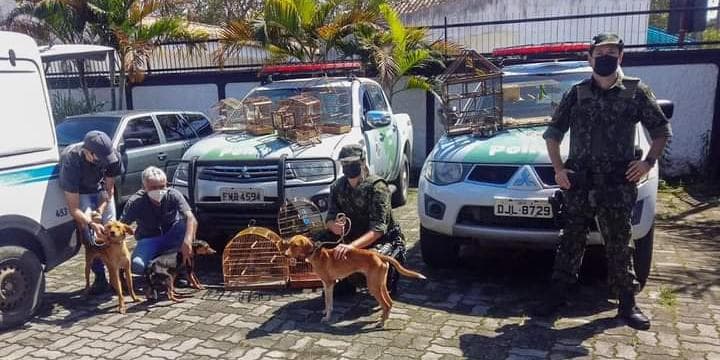 Homem é preso em flagrante por maus tratos a cachorros e pássaros em Caraguatatuba