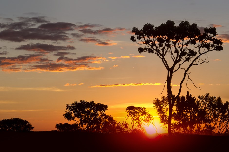 São José dos Campos vai ganhar Parque Natural do Cerrado na região sul