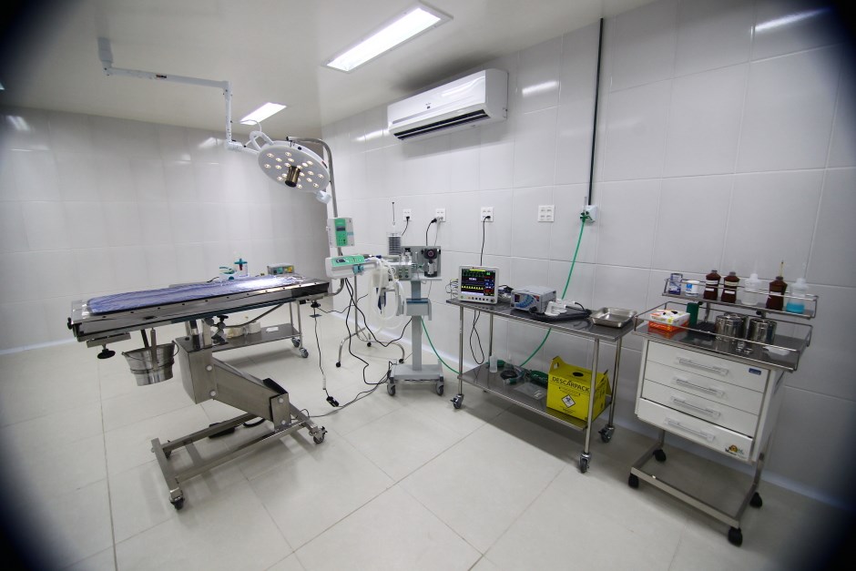 Feriado de Proclamação da República altera agendamento do Hospital Veterinário para terça
